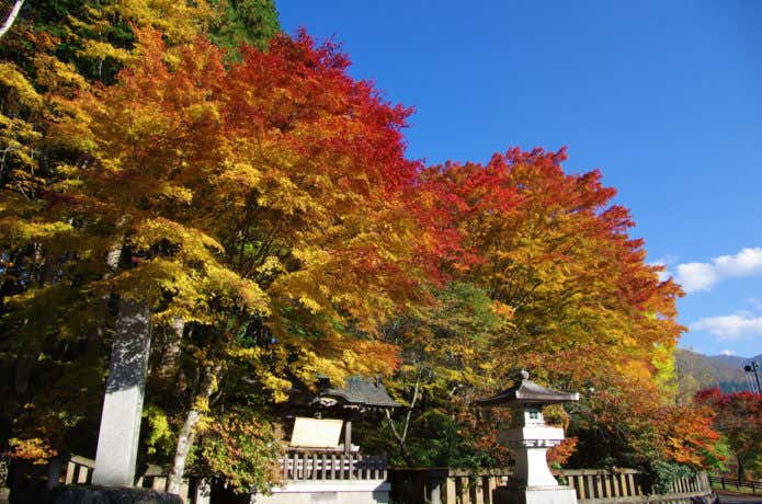 三峰神社の紅葉