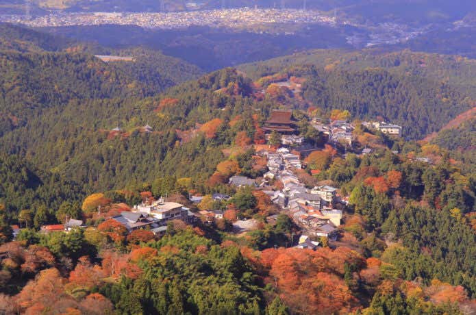 花矢倉展望台