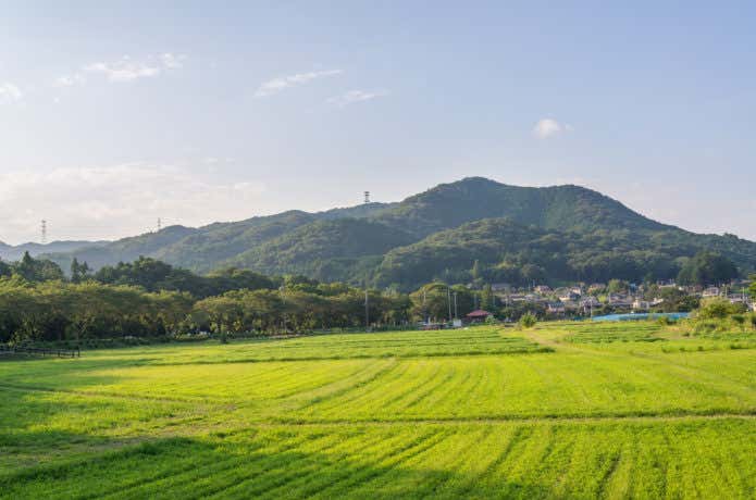 日和田山と田園