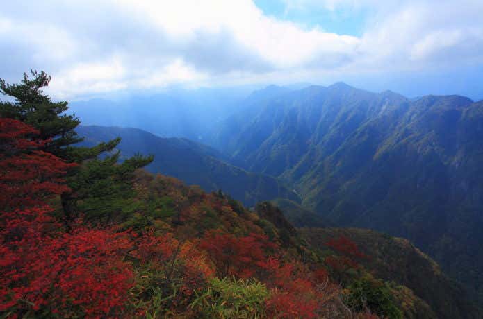 大台ケ原の秋の紅葉