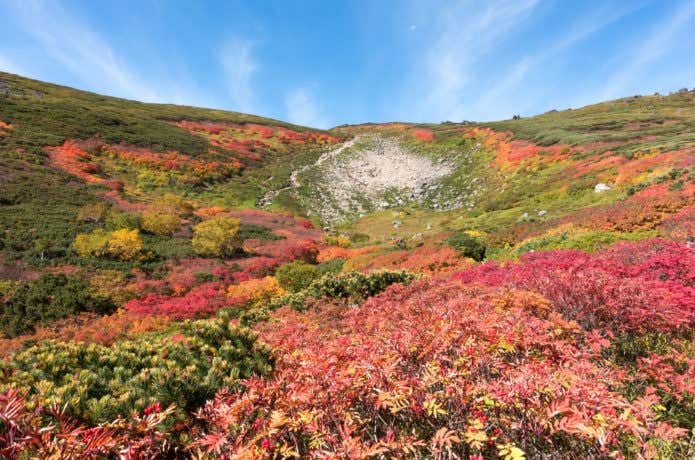 大雪山赤岳の紅葉