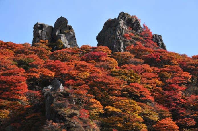大船山の御池付近の紅葉