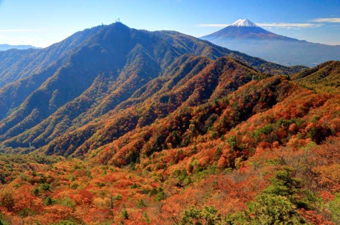 本社ヶ丸付近から三つ峠と富士山
