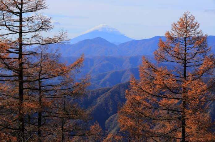 雲取山の紅葉と富士山