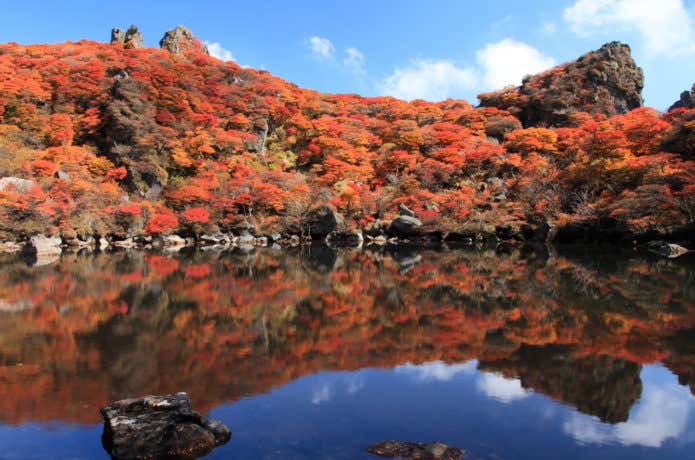 大船山の紅葉