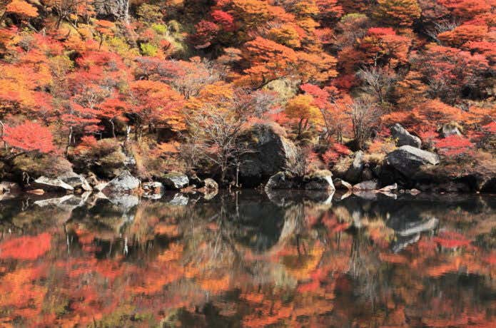 大船山御池に映りこんだ紅葉