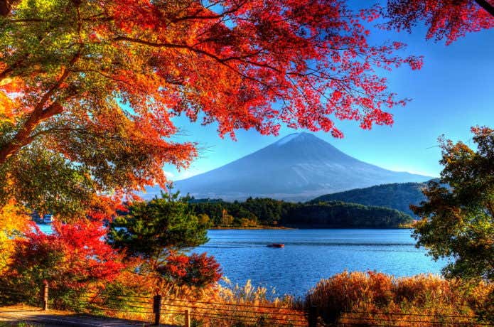 富士山と紅葉