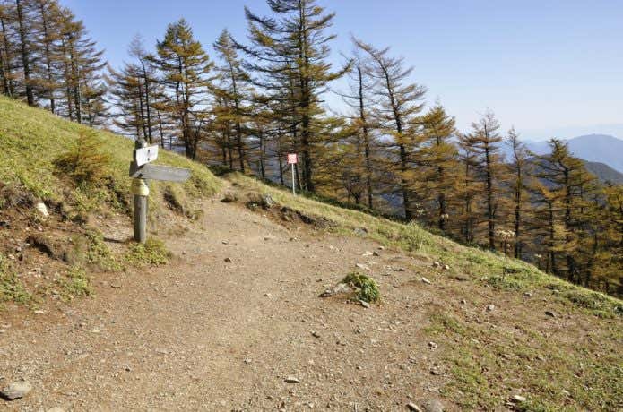 雲取山の登山道