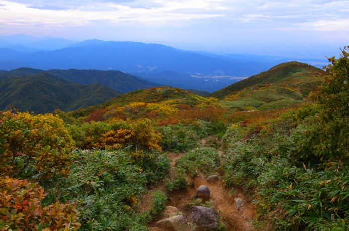 紅葉の季節の二王子岳登山道