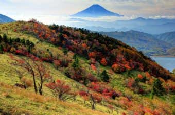 紅葉の大菩薩嶺から見る富士山