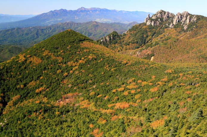 ▽希少 近江百山 近江百山之会 鈴鹿 琵琶湖 登山 山登り ガイド 百名