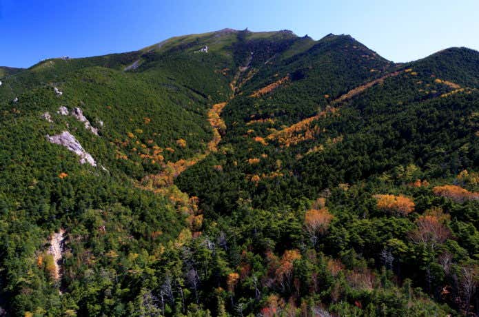 大日岩から見る秋の金峰山