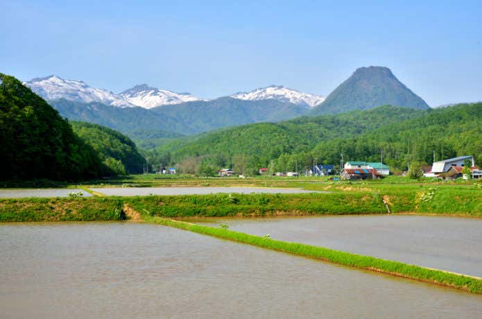 田園風景と黄金山