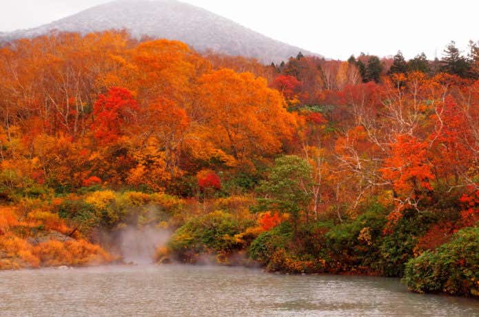 八甲田山 紅葉 地獄沼