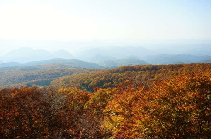 森吉山の紅葉