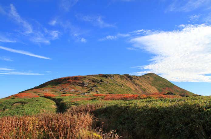 紅葉した月山