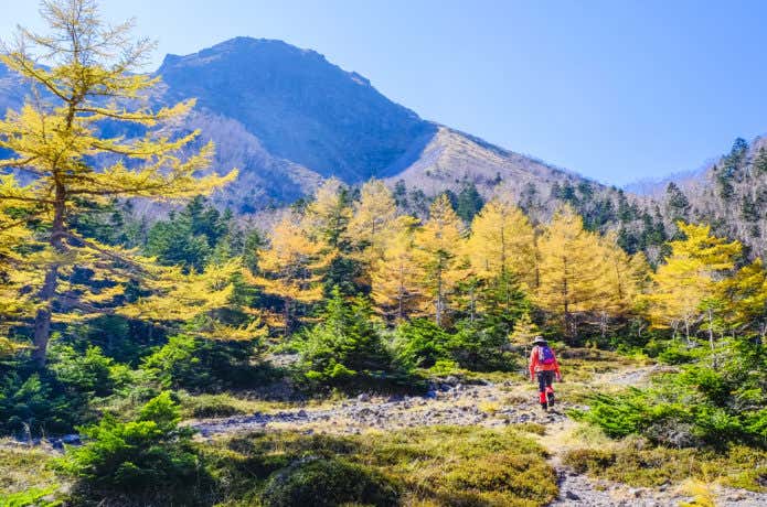 紅葉したカラマツと日光白根山