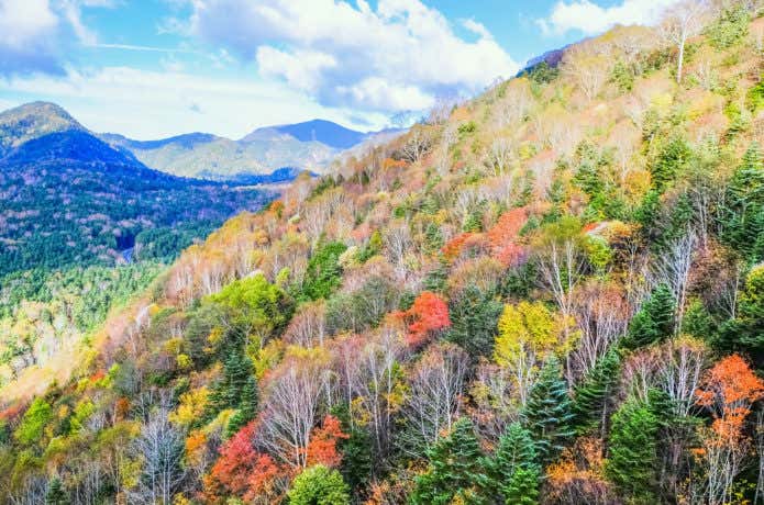 秋の日光白根山