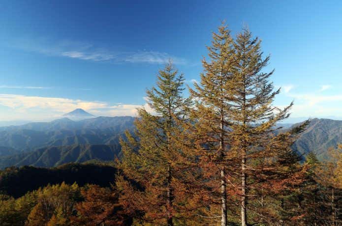 山頂からの富士山と紅葉