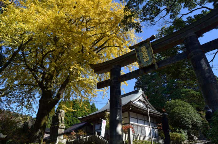 銅の鳥居