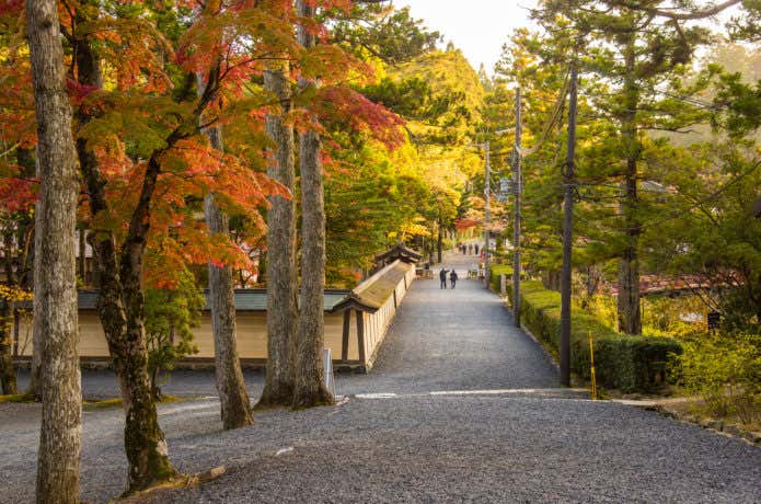 紅葉する高野山