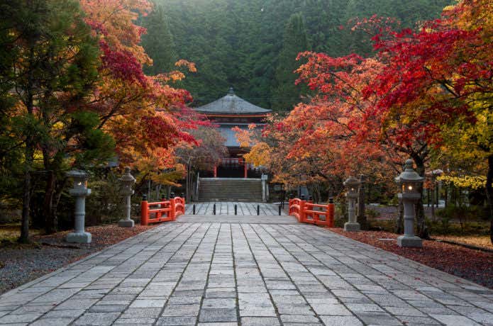 秋の奥之院