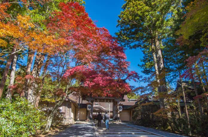 色づく高野山