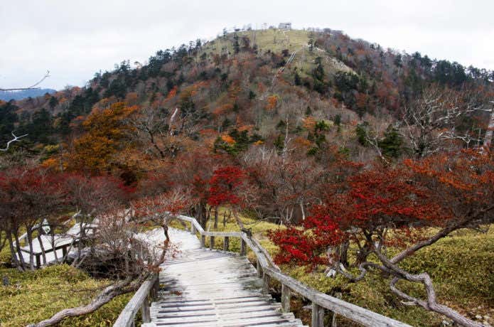 大台ケ原山の紅葉
