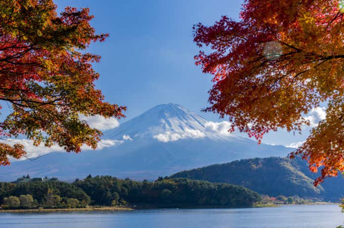 河口湖畔のもみじと富士山