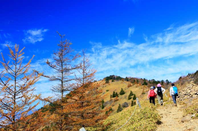 大菩薩嶺の稜線を歩く登山者