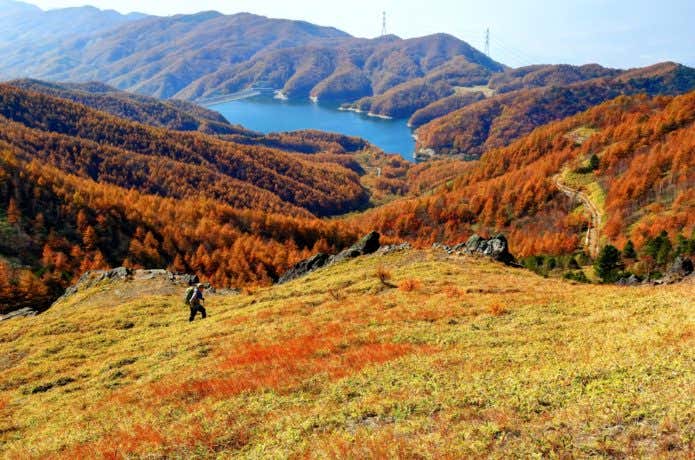 大菩薩嶺を歩く登山者