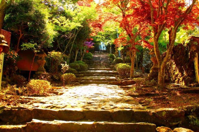 紅葉と英彦山の参道