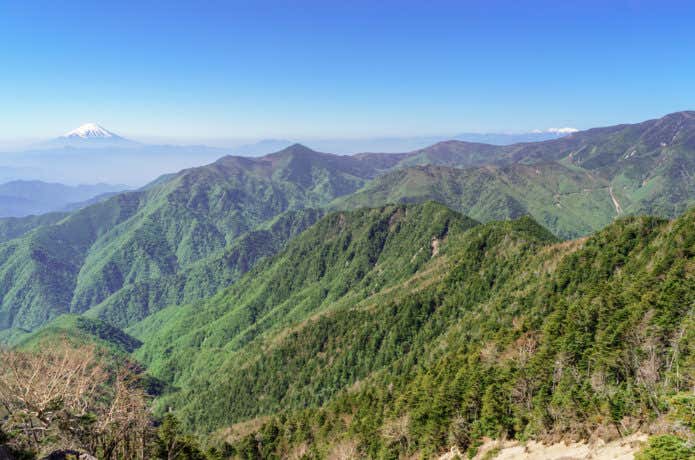 甲武信ヶ岳から富士山を眺める