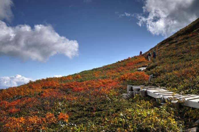 紅葉の月山
