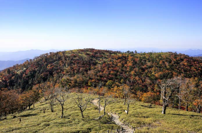 大台ケ原山の紅葉