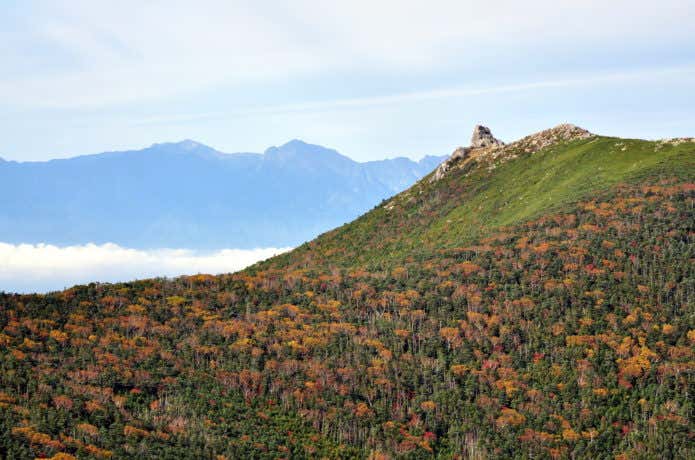 山頂からの紅葉