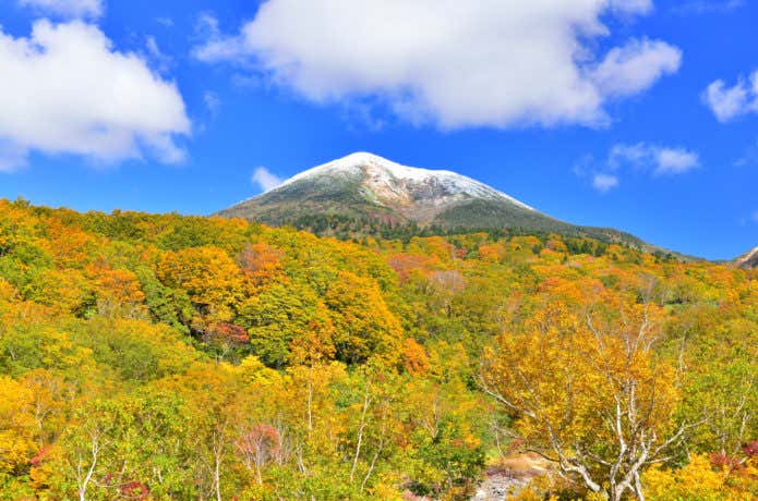 紅葉の八甲田山