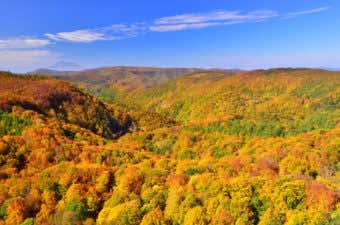 八甲田山　紅葉登山