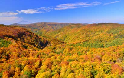 八甲田山　紅葉登山