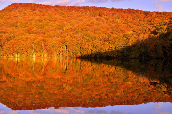 八甲田山 紅葉