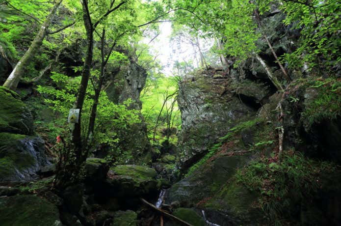 棒ノ折山