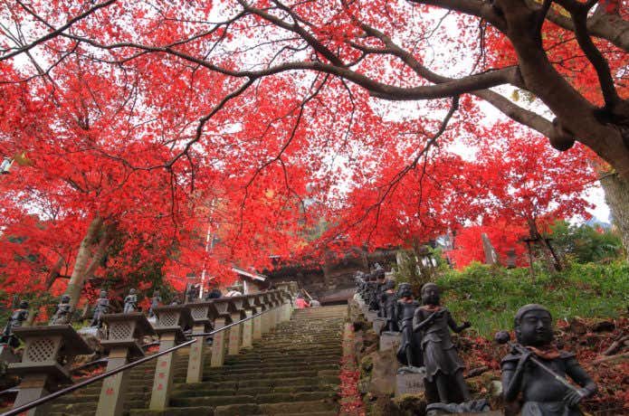 紅葉期の大山寺