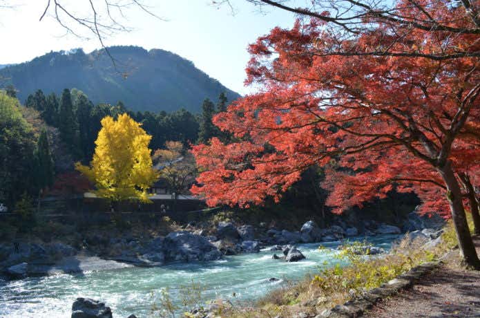 遊歩道からの紅葉