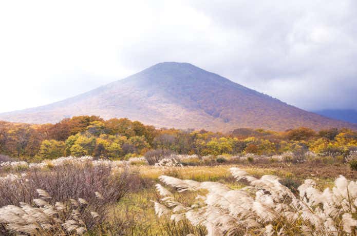 八甲田山 紅葉