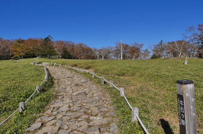 大台ケ原山の牛石ヶ原