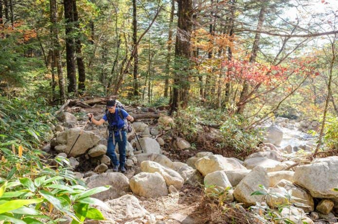 秋の一ノ沢ルートを登山する男性