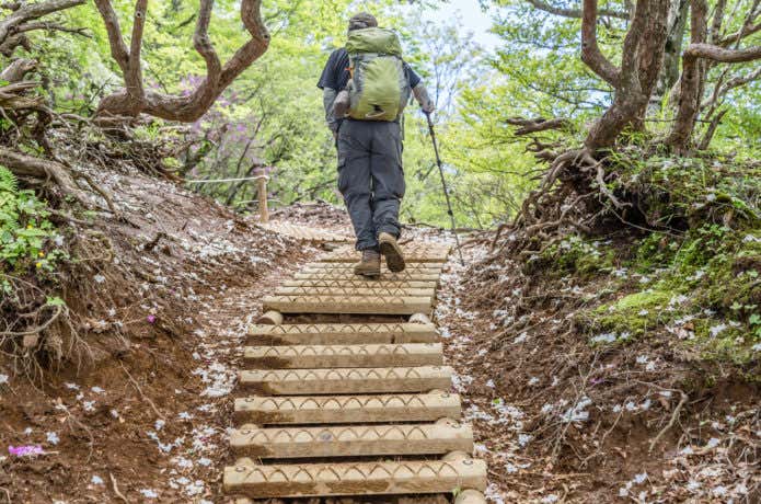 森の中を歩く登山者