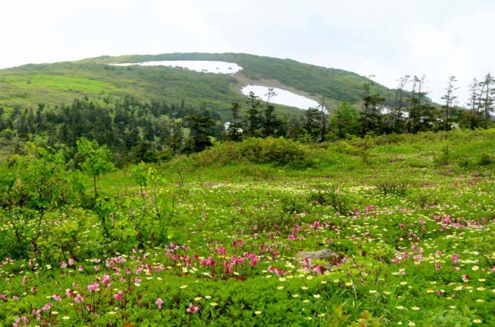 森吉山 春