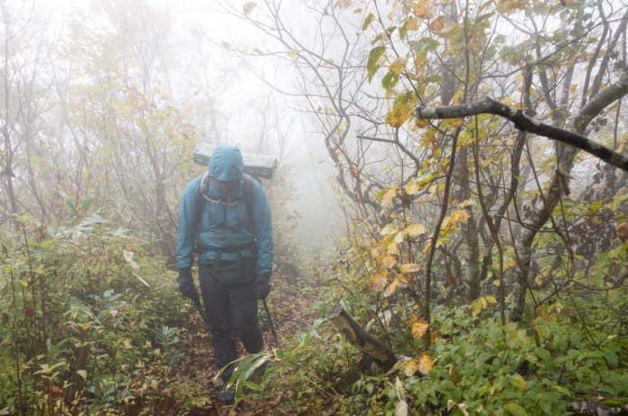 山 ショップ 服 色