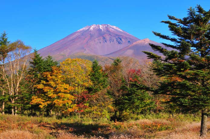 富士山と紅葉